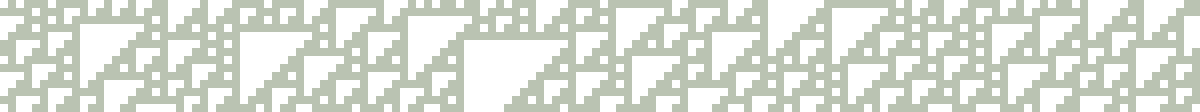 Rule 110 cellular automaton